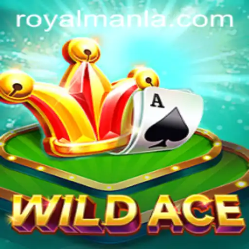 WildAce: An Epic Card Game Adventure